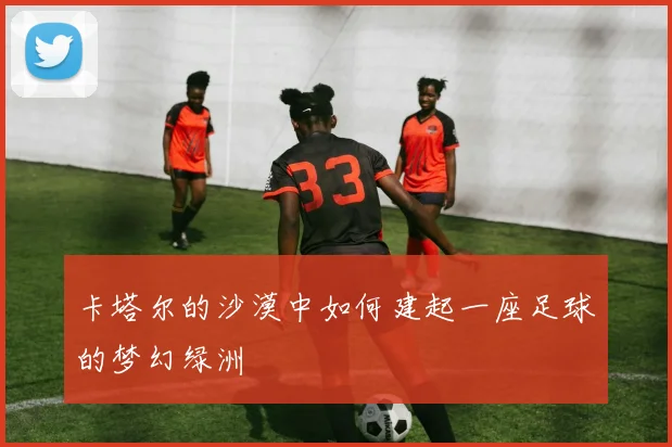卡塔尔的沙漠中如何建起一座足球的梦幻绿洲