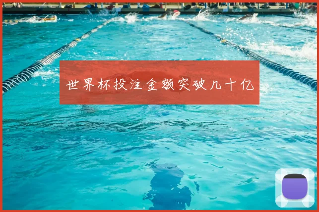 世界杯投注金额突破几十亿