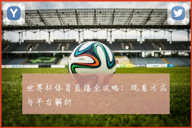 世界杯体育直播全攻略:观看方式与平台解析