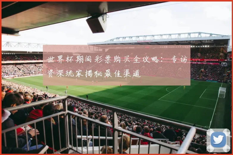 世界杯期间彩票购买全攻略:专访资深玩家揭秘最佳渠道