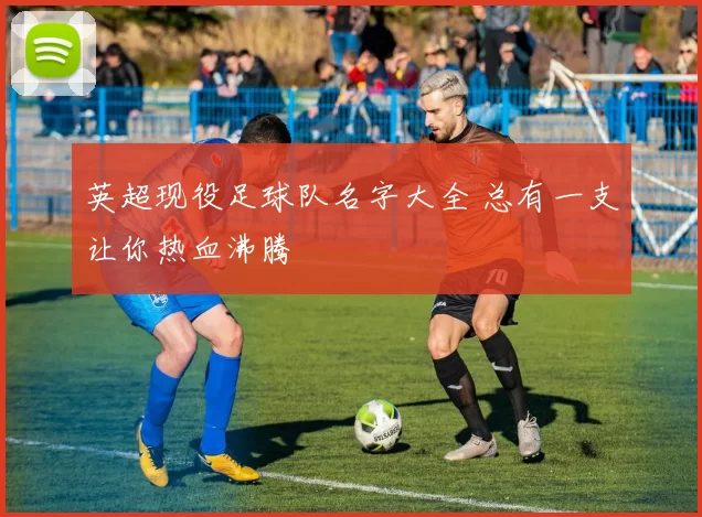英超现役足球队名字大全 总有一支让你热血沸腾