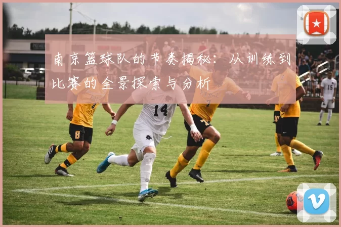 南京篮球队的节奏揭秘：从训练到比赛的全景探索与分析