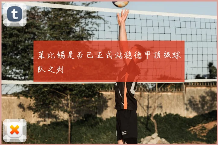 莱比锡是否已正式站稳德甲顶级球队之列