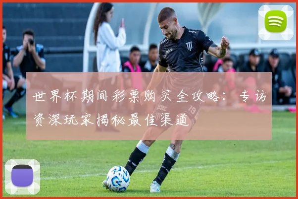 世界杯期间彩票购买全攻略:专访资深玩家揭秘最佳渠道