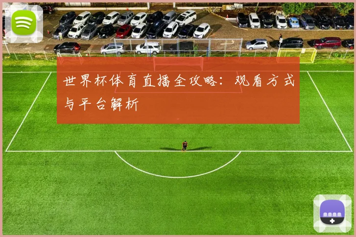 世界杯体育直播全攻略:观看方式与平台解析