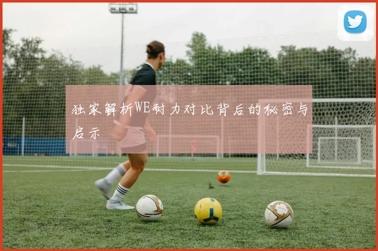 独家解析WE耐力对比背后的秘密与启示