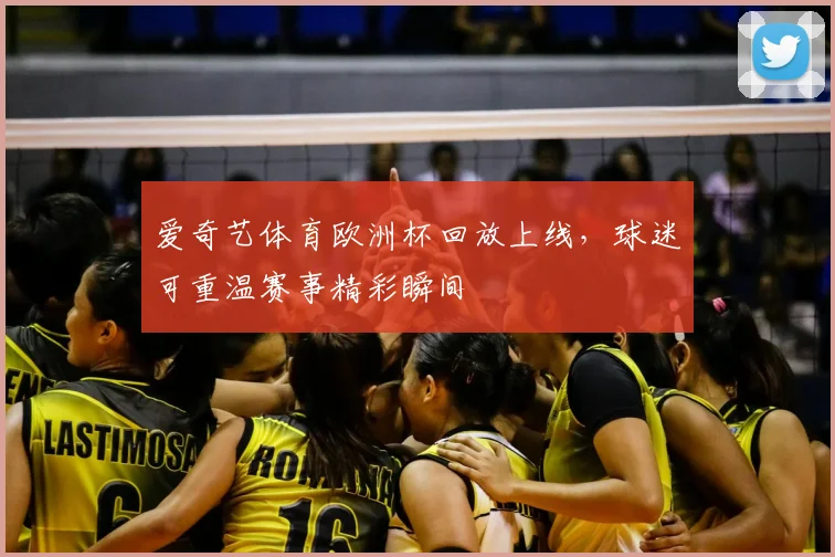 爱奇艺体育欧洲杯回放上线,球迷可重温赛事精彩瞬间